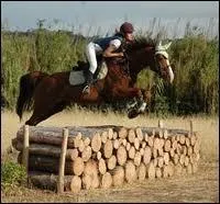 Que signifie C. C. E ?