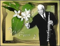 Domdenantes ne m'a pas oublie, il arrive avec le magifique CD  Petite fleur , qui est ce grand jazzman ?