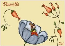 Poucette n'est pas en reste, aprs avoir longuement hsit entre une paire de lunettes, et le  Petit Robert 2012 , elle m'a offert un conte du mme nom qu'elle ! Est-ce bien un conte de Perrault ?