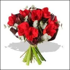 J'espre que Yyfanie et Jayges vont arriver, dans l'attente ils ont envoy un trs beau bouquet ...