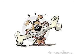 Nicoldy a eu la mme ide, comme il a gt mon Toutou ! Il lui offre un cubode, o l'a-t-il trouv ?