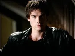 Quel acteur joue Damon Salvatore ?