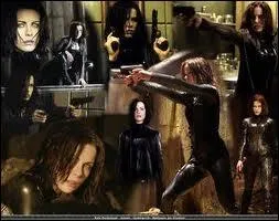 De quelle srie ou de quel film sont tires ces images ?