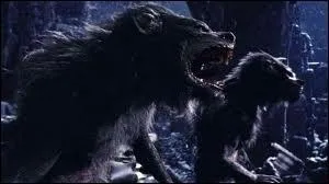 De quelle srie ou de quel film sont tires ces images ?