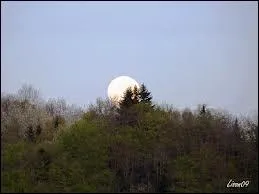 - la (... ) de la lune dormait sans (... ) sur les (... ) :