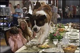 Comment s'appelle ce film ?