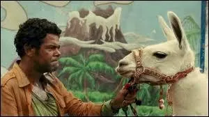 Quel est le nom de ce film ?