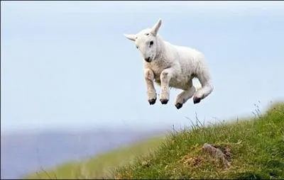 C'est ce qui se passe lorsque vous tes heureux, vous ...