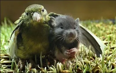 C'est ce qui se passe lorsque vous aidez un petit jeune qui dbute, vous ...