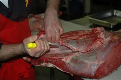 Qu'est-ce qui ne concerne pas la discussion dans ces trois propositions ?