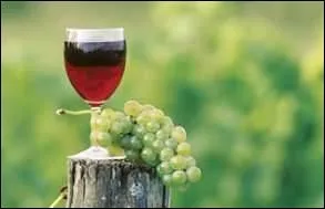 Laissons les nourritures spirituelles et cuisinons des filets mignons de porc aux oignons confits. Quels vins accompagneront plaisamment ce plat goteux ?