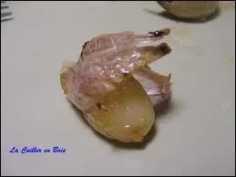 Comment nomme-t-on cet ail fantaisiste mais qui n'ose pas se dshabiller en cuisine ?