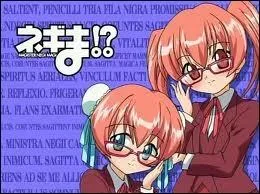 Qui sont-elles ? (de gauche  droite)