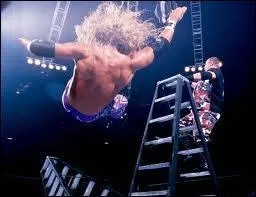 A Wrestlemania 17 , qui remportrent les titres par quipe au terme d'un  TLC match  mmorable ?