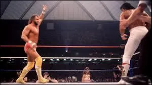 Lors de quel Wrestlemania Randy Savage affronta Ricky Steamboat dans un match pique pour le titre intercontinental ?