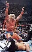 A Wrestlemania 12 , quelle superstar fut battue en un temps record par l'Ultimate Warrior ?