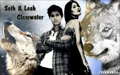 Quel est le lien entre Seth et Leah ?