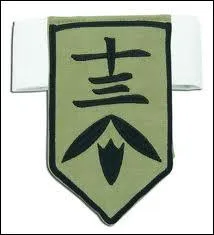 Quelle est la division de ce capitaine ?