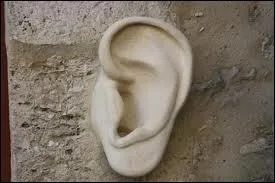 Mon tout est un film franais de Jean Girault.