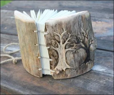 Le livre le plus cher au monde cote 153 000 000 d'euros ! Il est sign de Tomas Alexander Hartmann, s'intitule La tache, et ne fait que 13 pages. Sur quoi porte-t-il ?