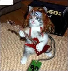 Ce chat fait penser  un personnage, mais de quel film ?