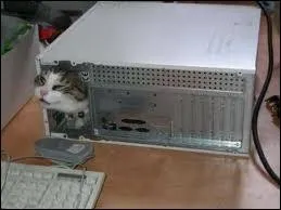 Quel pourrait tre mon mtier ?