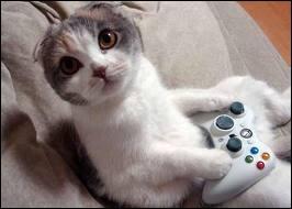 Sur quelle console joue ce chat ?