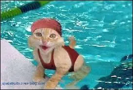 Nageur franais mdaill d'or aux 50 m nage libre le 3 aot 2012 lors des Jeux olympiques de Londres. Qui suis-je ?