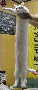 Commune franaise en Bourgogne situe au bord de la Sane : ...