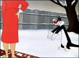 Quel est le nom de ce chat surnomm Grosminet qui ne cesse d'essayer d'attraper Titi ?