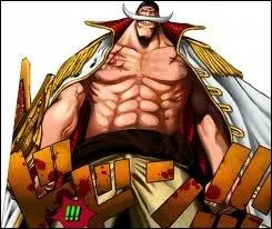 Quels sont les pirates qui ont absorb le fruit des sismes lors de la guerre  Marineford ?