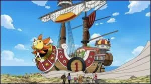Qui a construit le Thousand Sunny ?