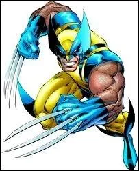 Dans  X-Men les origines : Wolverine  , comment s'appelle le programme qui transforme Wolverine en arme vivante ?