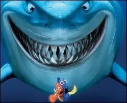 Quel est le nom du grand requin dans  Nmo  ?