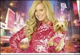 Quel est ce tlfilm Disney Channel diffus en 2011 avec Ashley Tisdale ?