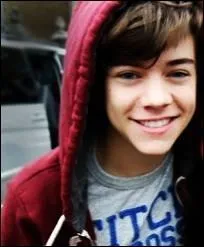 Comment s'appelait le groupe de musique d'Harry ?