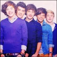 Un interviewer a posé cette question à Ed Sheeran : "Où seraient les 1D sans Liam "? 
 Il leur a ensuite répondu :