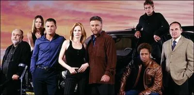 Si l'on regarde la srie  Les Experts   la tlvision amricaine, on regarde :