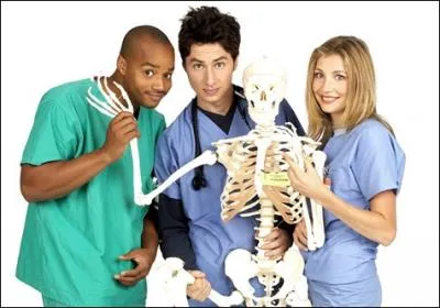 Laquelle de ces sries mdicales se droule au  Cook County Hospital  ?