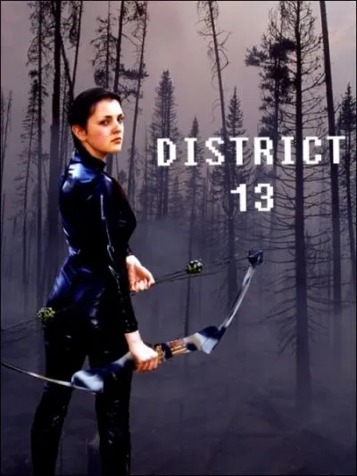 Mais... qu'est devenu le District 13 ? (livre 2 et 3 )