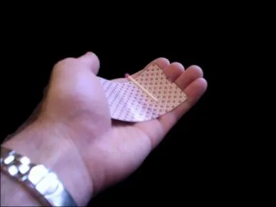 Quel style de magie Majerik ne propose-t-il pas ?