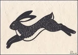 Les vieux bouquins sont des :