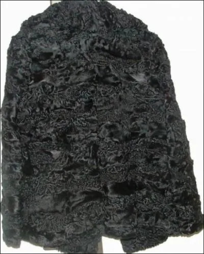 Ce manteau est fait avec une fourrure boucle de jeune agneau karakul mort-n ... c'est de l' ... .