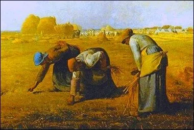 (... ) la coupe  terre, (... ) est pnible.