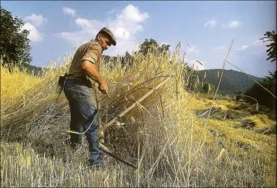 Chaque balancement sur les reins (... ) un peu plus douloureux.