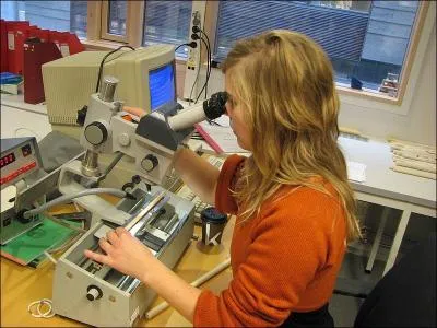 Qu'est-ce que la dendrochronologie ?