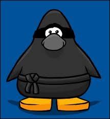 Quel est ce personnage ?