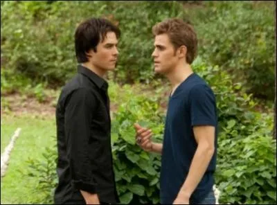 Comment Damon et Stefan peuvent-ils sortir en plein soleil ?