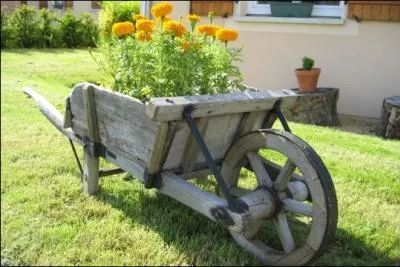 Une bien jolie utilisation pour cette ...