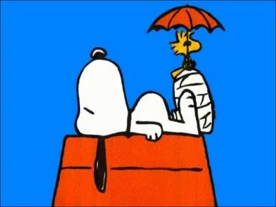 Dans les bandes-dessins  Peanuts , Snoopy est le chien de :